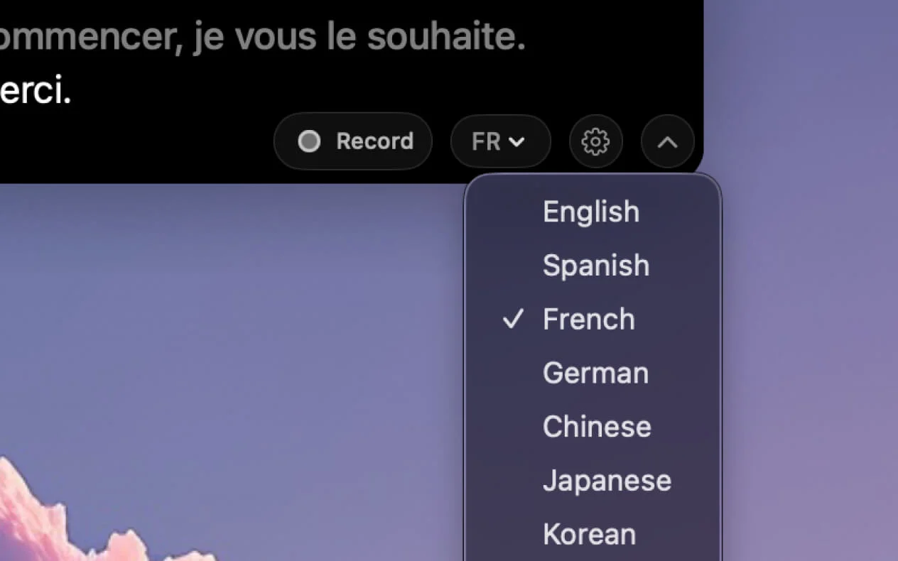 Language picker dropdown showing available languages